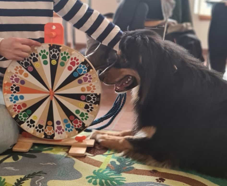 Therapiehund